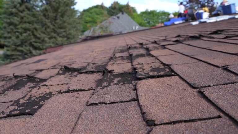 Professional Roofing Service in Palermo, CA