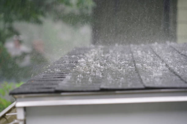Best Roof Coating and Sealing  in Palermo, CA