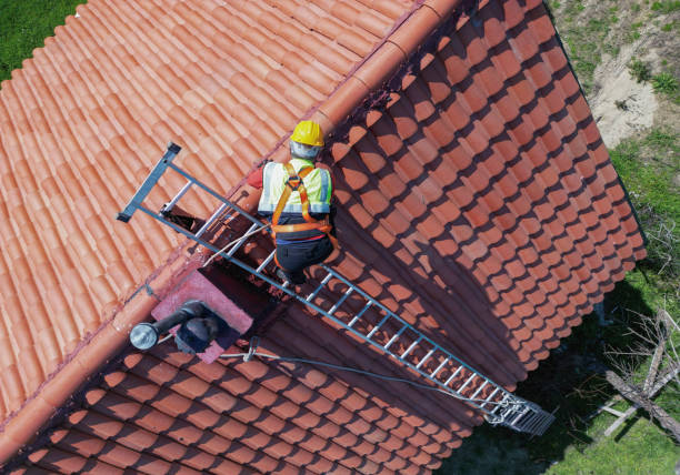 Best Solar Panel Roofing Installation  in Palermo, CA